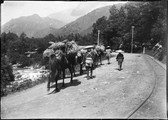1899 06 Japon  route de Chuzenji, qu'on voit dans la montagne