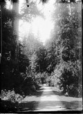 1899 07 Canada Parc à Vancouver