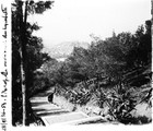 1936 09 26 Grèce Athènes l'Acropole vue des pentes du Lycabette