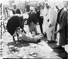 1934 05 13 Tunisie Ouenza dépiautage du mouton