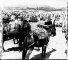 1934 05 13 Tunisie Ouenza vue d'ensemble du marché