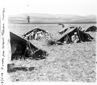 1936 05 31 Tunisie un Douar du Sud vient de dresser ses tentes