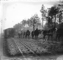 1916 01 16 Wagons remorqués par chevaux