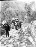 1900 04 18 Italie Capri porteurs montant une ruelle