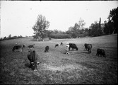 1901 Centre Auvergne, La Goutte près de Ussac