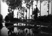 1901 Pyrénées pas de légende