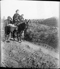 1898 12 Chine T'Aé Yuend  Femme et ses deux enfants à âne