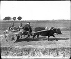 1899 02 02 Chine  Ho Nan, en visite du 2 de l'an à la belle-mère