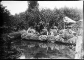 1899 06 Japon Route de Chouzenzi  jardin japonais