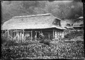 1899 06 Japon Naru Sawa  maisons de campagne