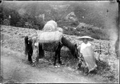 1899 06 Japon homme de paille et son cheval