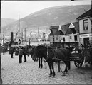 1906 08 04 Norvège Bergen Holbergsalm