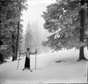 1909 01 26 Suisse jura Les Rasses brouillard Renée Leprince Ringuet à ski