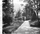 1923 08 15 Allemagne Schlangenbad jardin public