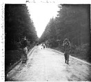 1923 08 18 Allemagne route de  Schlangenbad femmes ramenant du bois