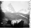 1925 07 11 vue de la Plagnette d'en bas et Aiguille Noire