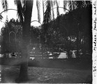 1926 05 02 Espagne Malaga jardin public