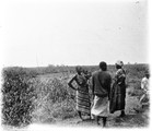 1929 09 06 Congo