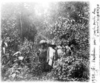 1929 09 14 Congo sur les pentes du Nyiragongo- en pleine forêt