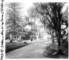 1929 07 17 Afrique du Sud Cap Town jardin public