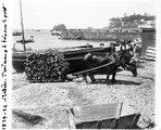 1929 07 02 Portugal Madère traîneau à bois sur le port