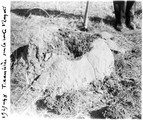 1929 07 24 Afrique du Sud termitière sur la route d'Enyati