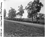 1929 07 23 Afrique du Sud Dannhauser chars à 12 paires bœufs