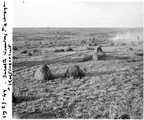 1929 07 22 Afrique du Sud Hattingspruit basaltes répandus dans la campagne
