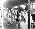 1929 07 20 Afrique du Sud Kimberley campement de Bulkfontain de la De Beers