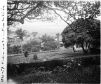 1929 07 26 Afrique du Sud Durban vue du haut de Berea sur la baie