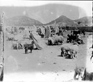 1934 05 13 Tunisie Ouenza marché aux moutons