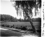 1935 08 22 paysage Morvandiau près de Saulieu