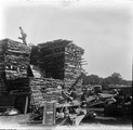 1916 06 CAMA de Vincennes - Pile de bois