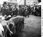 1926 09 02 Ardèche Vernoux le marché