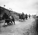 1915 12 07 chevaux pataugeant sur la route