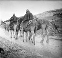 1915 12 07 chevaux revenant du ravin de Massiges couverts boue