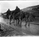1915 12 07 chevaux revenant du ravin de Massiges couverts boue