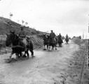 1915 12 07 chevaux pataugeant sur la route