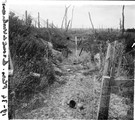 1919 06 28 Flers  route de Warlencourt chemin creux défilé