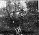 1911 08 19 Transbaïkalie notre cantonnement dans la taïga  sur la Loubya