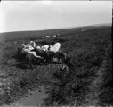 1911 09 09 Transbaïkalie  chevaux se rafraîchissant les pieds dans la steppe