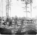 1911 07 06 Russie Komartchaga, charrettes de foin Serebrakov, et Oloviannaïa