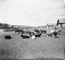 1911 08 27 Transbaïkalie Oust la Grande rue Telengoui et nos Télégas