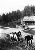 1905 07 Italie Dolomites Tre Crocci