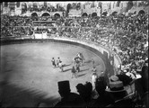 1900 07 01 Nîmes Course de taureaux Picador enlevé