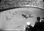 1900 07 01 Nîmes Course de taureaux cheval éventré