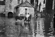 1901 Versailles -Auvours- service militaire Photo René L.R.
