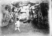1898 07 26 Singapour huttes et végétation équatoriale