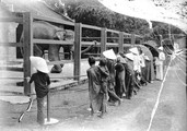 1898 07 28 Vietnam Saïgon au jardin de Saïgon l'éléphant mendie quelques sous