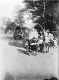 1898 07 20 Sri Lanka Colombo voiture à bœufs